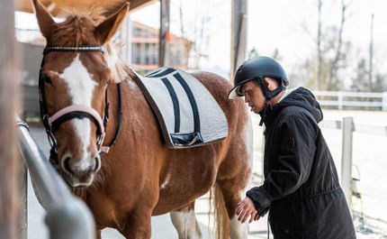 Tiergestützte Therapie